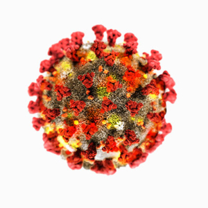corona virus isolated corona virus